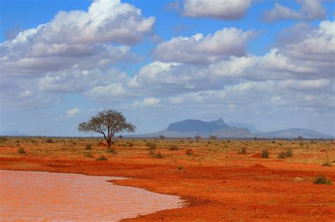 parco nazionale  tsavo est marco polo safaris