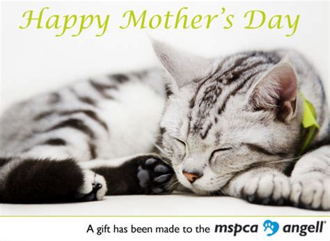 mothers day ecards mspca angell