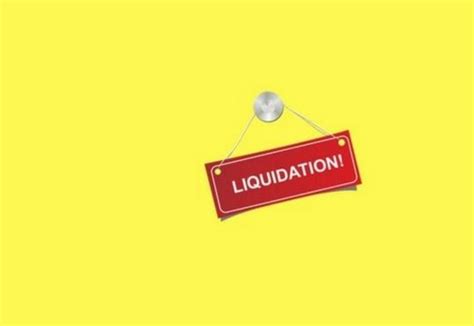 unscrupulous builders  india    escape liabilities  deliberate liquidation