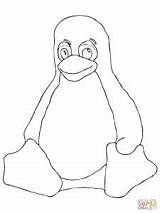 Penguin sketch template