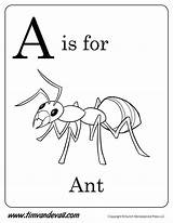 Ant Coloring Preschool Alphabet Printables Printable Kids Pages Letter Worksheets Ants Timvandevall Colouring Learning Words Preschoolers Activities Elegant Davemelillo Apple sketch template