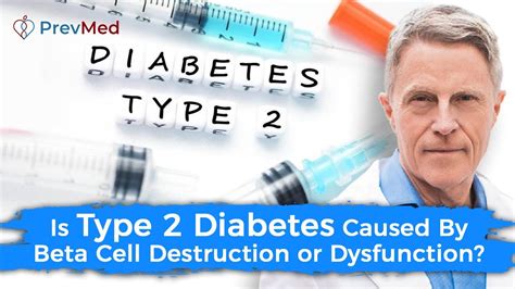 Is Type 2 Diabetes Caused By Beta Cell Destruction Or Dysfunction