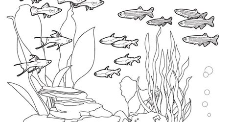 ocean floor coloring page   goodimgco