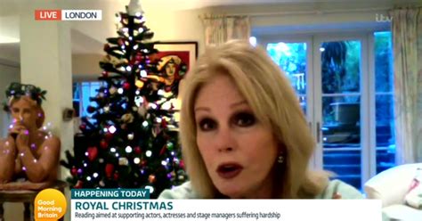 gmb viewers baffled by joanna lumley s naked man covered in christmas