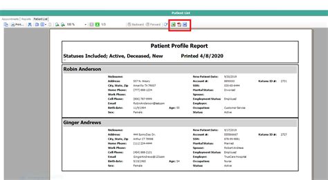 Patient List Report Katana Enterprises Llc