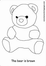 Brown Print Coloring Kids Bear Colour Handout Below Please Click sketch template