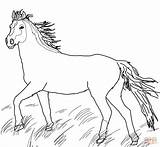 Coloring Pages Horses Clydesdale Paint Horse Mustang Wild Template sketch template