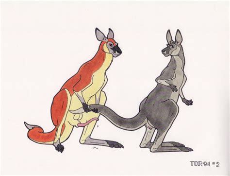 rule 34 2011 anatomically correct balls cum female feral from behind kangaroo male marsupial