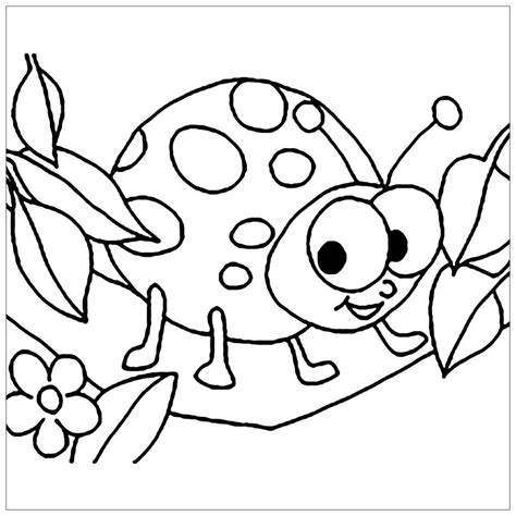 insects  color hshrat lltloyn insect coloring pages coloring