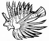 Lionfish Colorat Leu Peste Pesti Desene Pestele Planse Designlooter Clipartmag Roaring sketch template