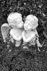 angel kissing pierre flickr