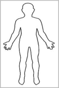 outline human body image anatomy system human body anatomy diagram