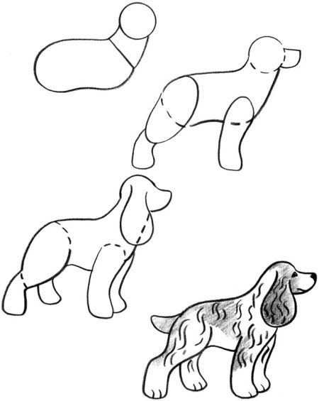 cute drawings of puppies