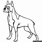 Dog Boxer Coloring Dogs Pages Trace Colouring Online Outline Puppy Color Drawing Template Colors Realistic Print Clipart Thecolor Draw Clipartmag sketch template