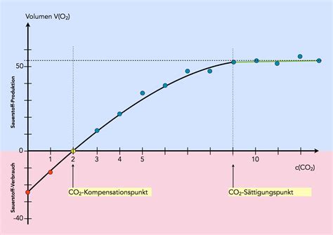 photosynthesefaktor kohlendioxid