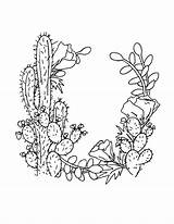 Cactus Saguaro Coloring Getcolorings sketch template