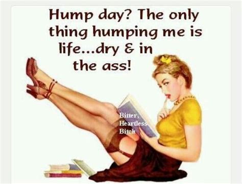 huuuuuuump day 186125397073491834 wednesday humor hump day humor