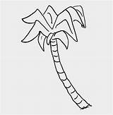 Palm Sabal Coloring Jing sketch template