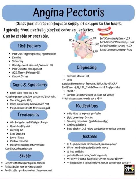 angina symptoms   treatments artofit