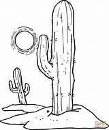 Coloring Desert Pages Sun Printable Cactuses Over Supercoloring Cactus Drawing Sheets Clipart Drawings Plants Deserts Clip Template Designlooter 1053 04kb sketch template
