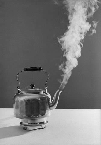 tea tastes    type  kettle kettlepotscom