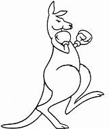 Kangaroo Drawing Boxing Easy Cartoon Pages Logo Clipart Gloves Tattoo Coloring Draw Colouring Simple Kangaroos Illustration Flag Google Tattoos Outline sketch template