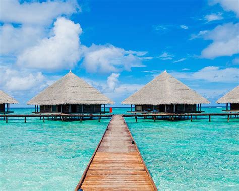 plan  perfect trip  maldives wandering wagars