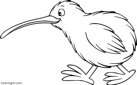 printable kiwi bird coloring pages  vector format easy