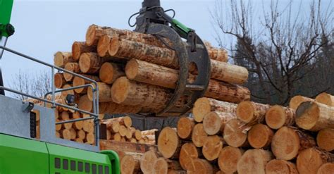 canada   wto  decision  softwood lumber dispute