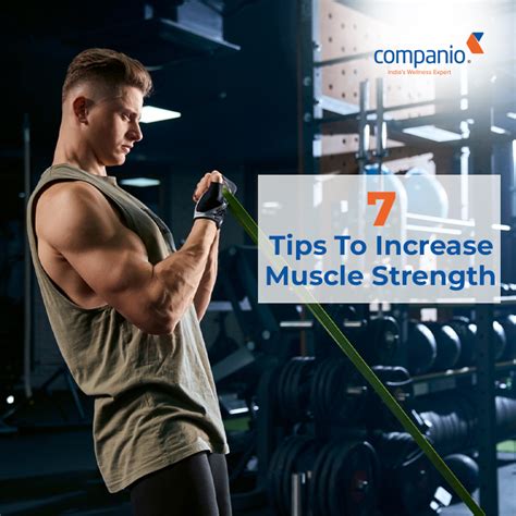 surprising tips  increase muscle strength companio