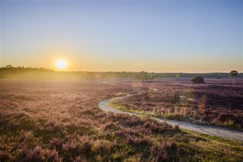 minute centerparcs  nu tot  extra korting