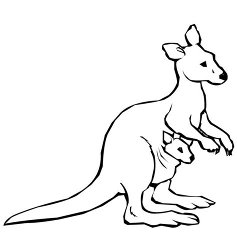 kangaroo coloring pages clipart panda  clipart images