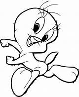 Looney Tunes Elmer Fudd Tweety sketch template