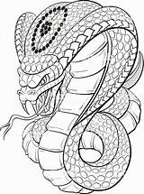 Cobra Coloring Cobras Snakes Tatuagem Dibujos Guardado Mustang sketch template