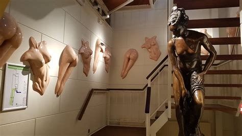 sexmuseum amsterdam venustempel 2019 all you need to know before you