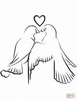 Pajaros Dibujar Imprimir Lovebirds Pájaros Palomas Bonitos Enamoradas sketch template