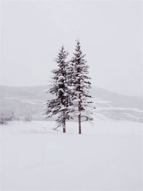 winter wonderland let it snow wintertime sleigh
