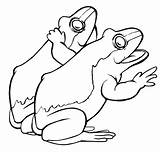 Frogs Two Drawing Frog Coloring Color Library Clipart Printable sketch template