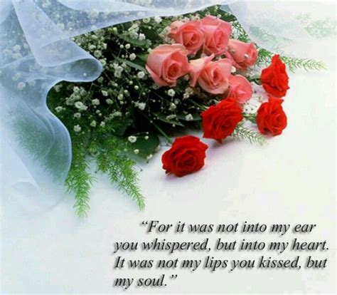 whisper with images flower quotes red roses wedding