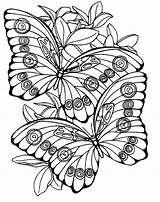 Coloring Pages Print Large Printable Color Butterfly Adult Sheets Adults Kids Colouring Flowers Books Vlinders Number Getcolorings Animal Thousands Butterflies sketch template