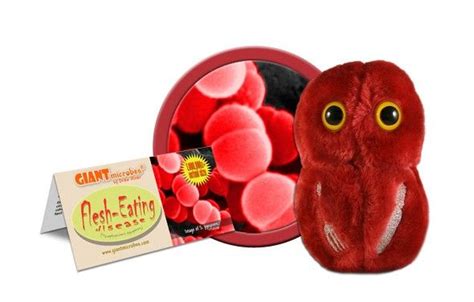 flesh eating plush plush streptococcus pyogenes