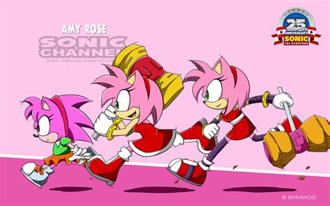 Amy Rose Wallpaper 73 Images