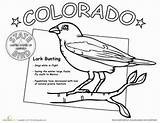 Coloring Colorado Pages Rockies State Getcolorings Printable sketch template
