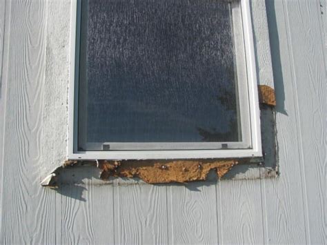 replace mobile home windows heres        mobile home windows