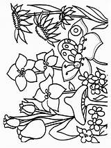 Pages Spring Coloring Nature Printable sketch template