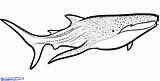 Shark Coloring Pages Whale Sharknado Getcolorings Printable Color Print sketch template
