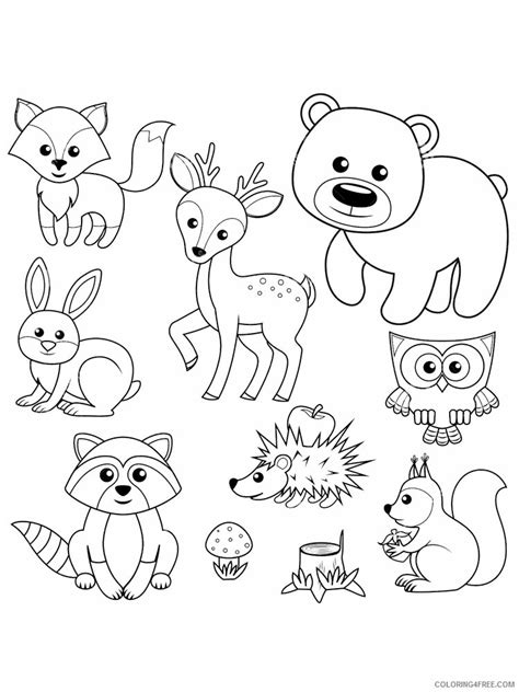 forest animals coloring pages animal printable sheets forest animals