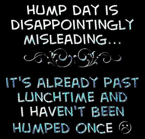 60 Funniest Hump Day Memes To Survive Wednesdays Hump