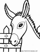 Donkey источник sketch template