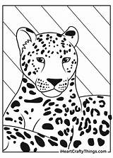 Coloring Leopards sketch template